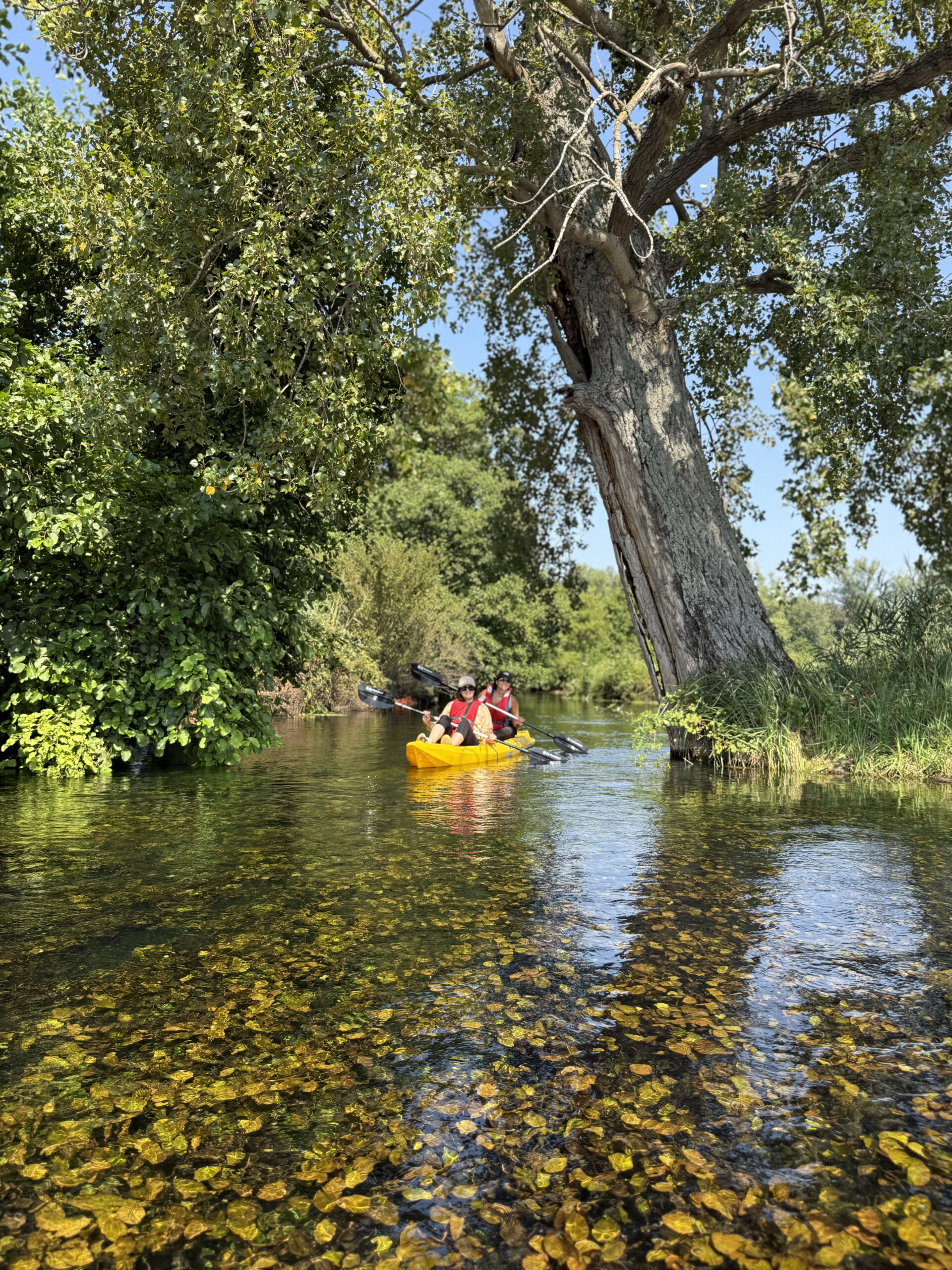 Ragazze in canoa lungo il fiume cavata