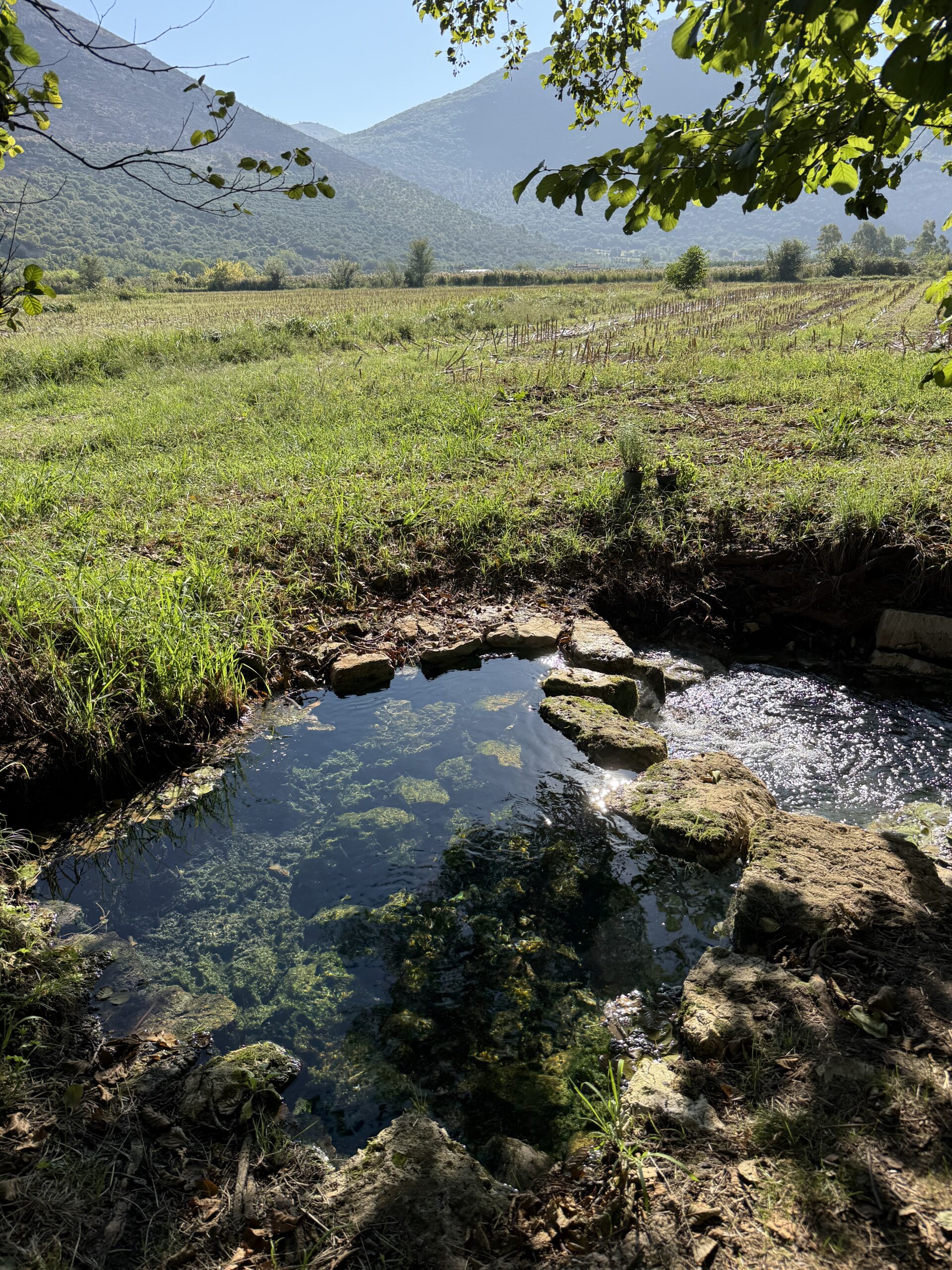 sorgente fiume cavata